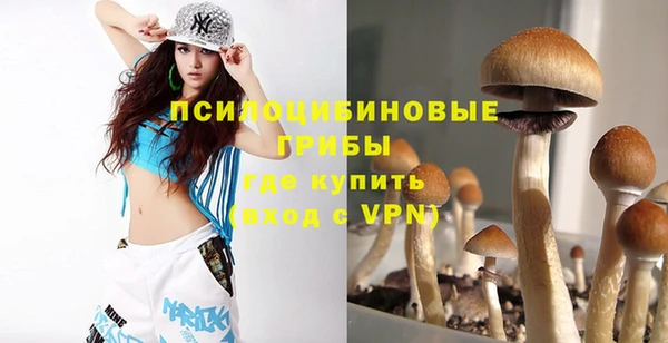 бошки Няндома