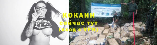 бошки Няндома