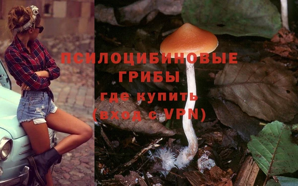 винт Нязепетровск