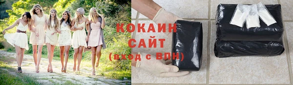 бошки Няндома