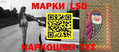 шишки Гай