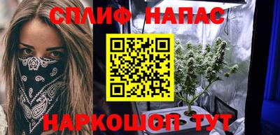 шишки Гай