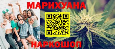 шишки Гай