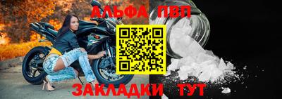 шишки Гай