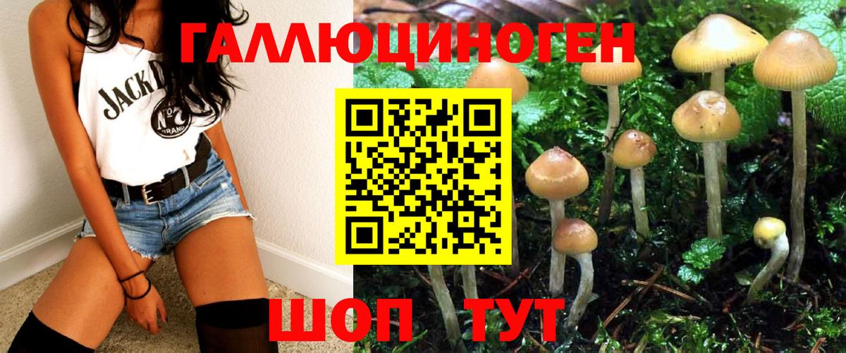 Галлюциногенные грибы Psilocybe Феодосия